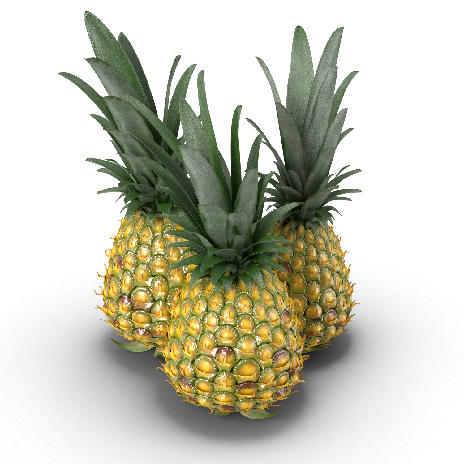 Pineapples.G13.2k